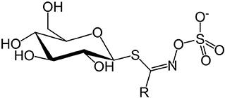 Invited Review: Glucosinolates Might Result in Low Methane Emissions From Ruminants Fed Brassica Forages